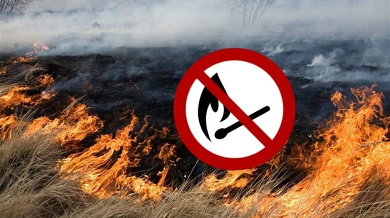 Рятувальники просять мешканців Володимиреччини не палити суху траву