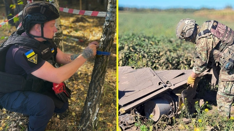 У лісі на Київщині виявили гранату на розтяжці, а в полі на Чернігівщині – бойові частини дронів