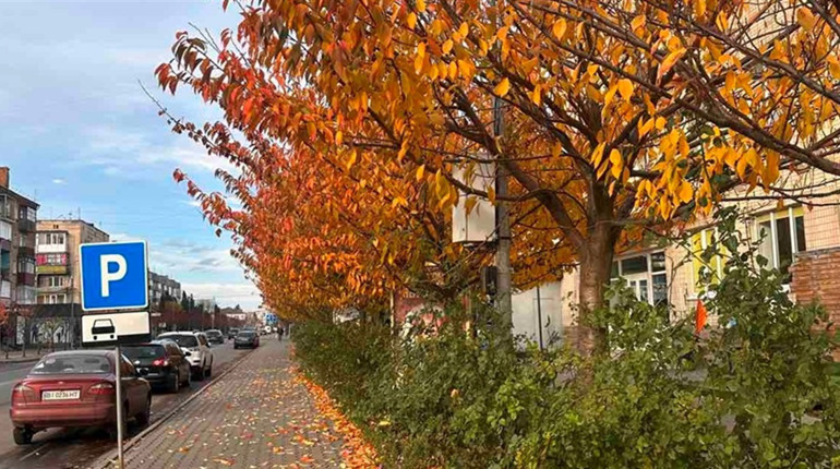 Погода у Старокостянтинові на 10-16 листопада: дощовий початок тижня змінять сухі, але похмурі дні