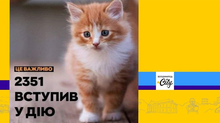 Новий етап захисту тварин: закон 2351 вступив в силу завдяки зоозахисникам