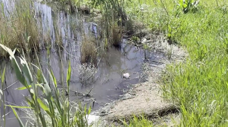 В Усатівській громаді стічні води з АЗС забруднили землю: порушник відшкодував збитки