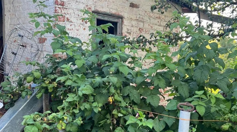 Ворог продовжує атакувати Великобурлуччину дронами: пошкоджено будинки, техніку та об’єкти