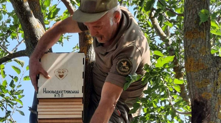 На екостежці Дністровія у Біляївці облаштували хатинку для кажанів: ідея нацпарку