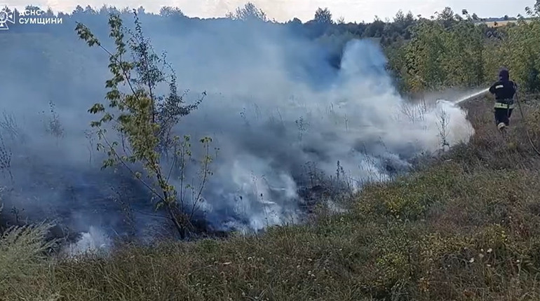 На Глухівщині сталася пожежа в екосистемі