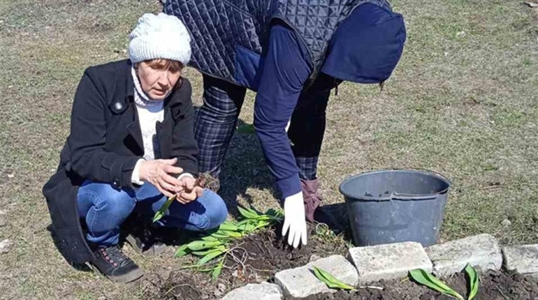 У селі Бабичеве біля будівлі сторічної школи висаджують квіти та обрізають саджанці
