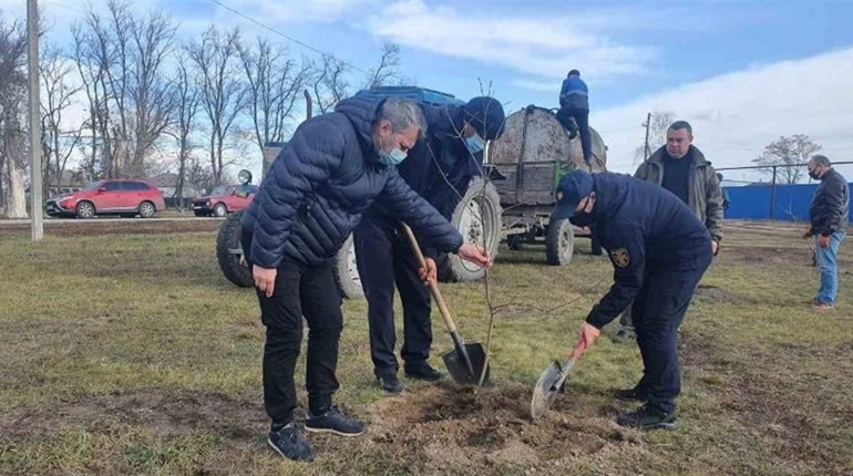 У Сватовому буде дубовий гай: де його висадили