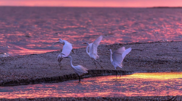...