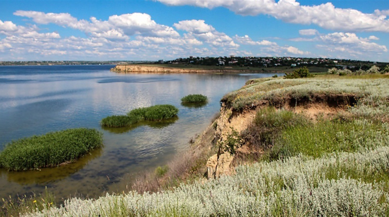 На Одещині лиман повертають державі: суд заборонив промисловий вилов на Хаджибеї