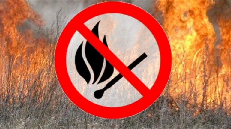 На засіданні ТЕБ розглянули питання щодо протидії вогню та безпеці на воді