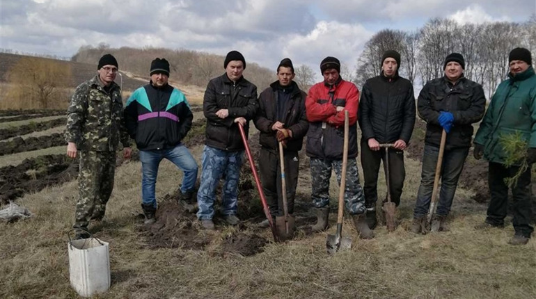 На Білопільщині саджають дерева, прибирають та впорядковують території