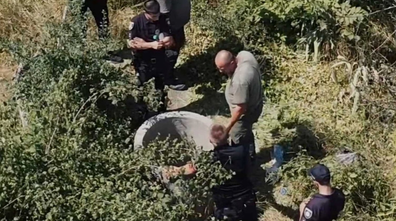 На Красноградщині розшукували безвісти зниклих людей: які результати пошуку