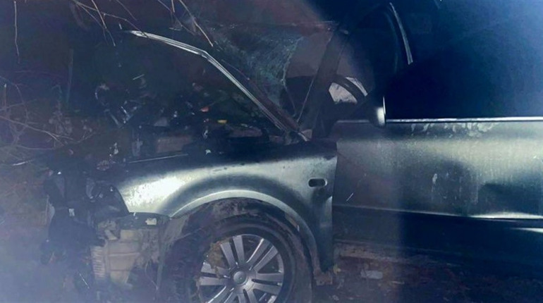 Поблизу Звягеля автівка зіткнулася з деревом: пасажирка загинула, а водій у реанімації