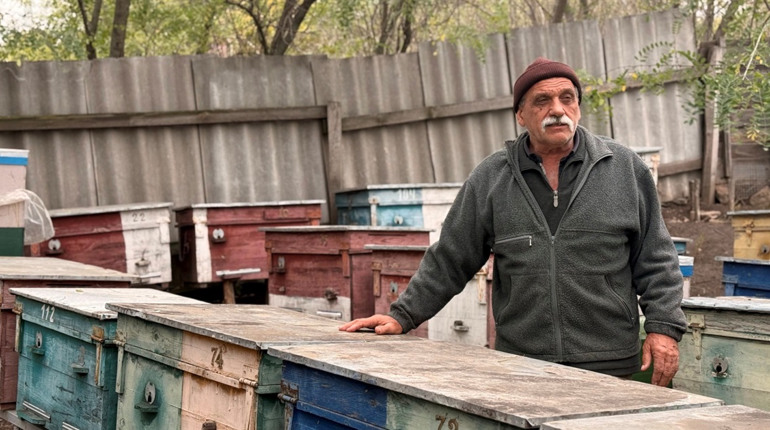 Мед, праця і виживання: як досвід пасічників Первомайщини вчить берегти майбутнє