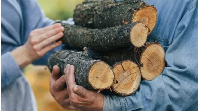 Пільги на дрова і вугілля для ветеранів: як отримати допомогу