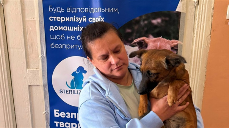 У Звягелі 13 і 14 липня стерилізуватимуть собак: деталі