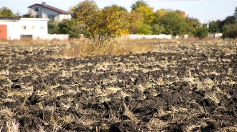 Продовольча безпека регіону. У Лозівському районі аграрії сіють озимі культури в суху землю