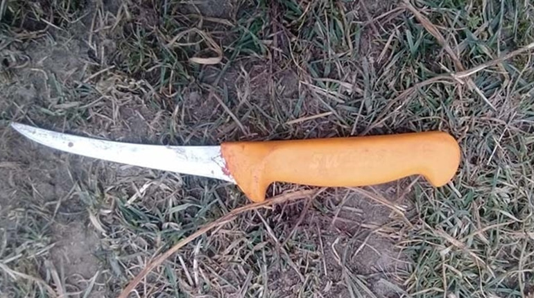 На Чортківщині чоловік колов свиню і смертельно травмувався ножем