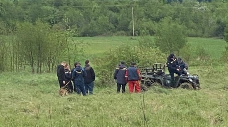 Шосту добу на Дрогобиччині шукають 81-річну жінку, яка пішла по гриби і не повернулася