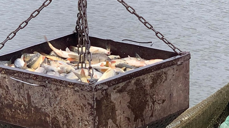 Водойми Золотоніщини активно зарибнюють та очищують від браконьєрства