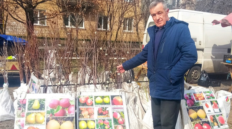 Весна в саду: як обрати та посадити фруктові дерева. Поради гадячанам