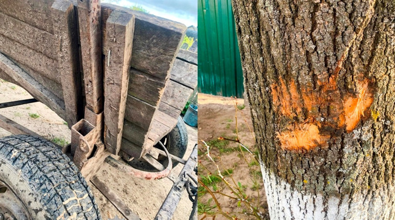 На Сарненщині двоє юнаків травмувалися в аварії з гужовою підводою