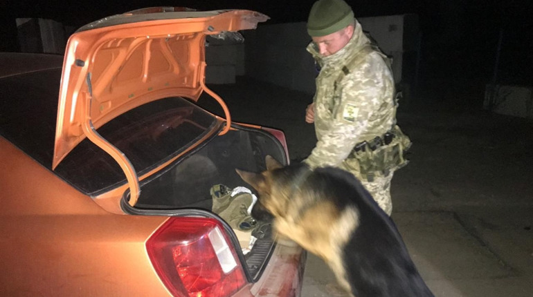 На КПВВ "Золоте" службовий пес знайшов наркотики в автівці місцевого мешканця