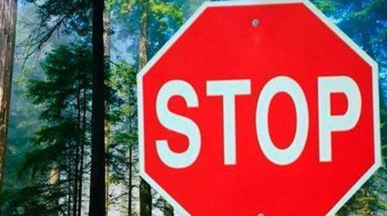 У ліси Рівненщини заборонили в’їзд транспорту