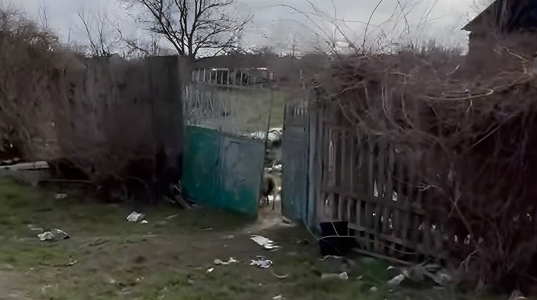 Звалище на подвір’ї: до порушників у Біляївці завітав офіцер громади