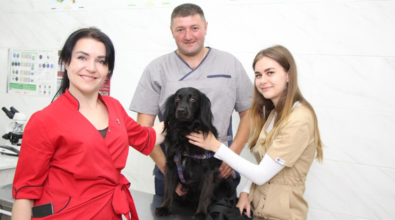 Рятують і лікують наших тварин
