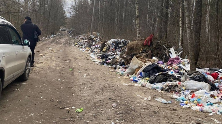 Ліквідовано стихійне сміттєзвалище на Звягельщині, яке раніше зафіксувала Екоінспекція