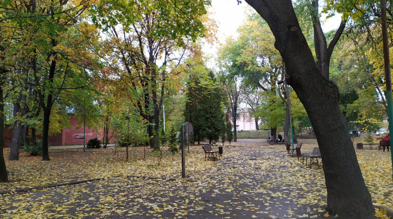 Із середи погода в Умані знову стане осінньою