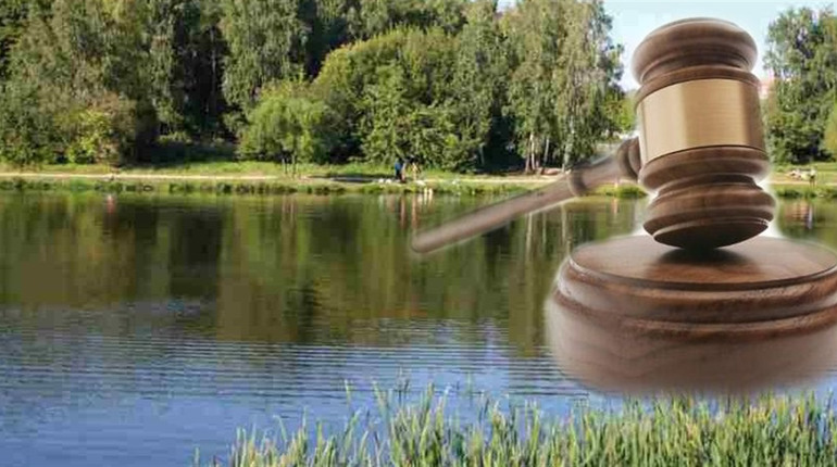 У Городку здають в оренду два ставки та землю під інженерні споруди у Великій Леваді: подробиці