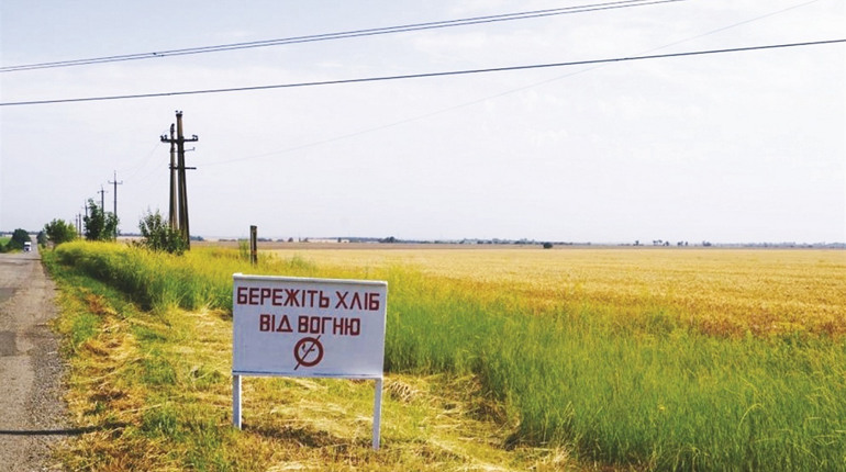 Горячая пора: случайно брошенный окурок может уничтожить урожай на поле, посадки и частные усадьбы