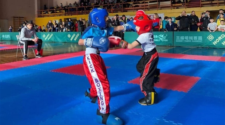 Юні калинівські кікбоксери здобули нагороди на чемпіонаті Києва