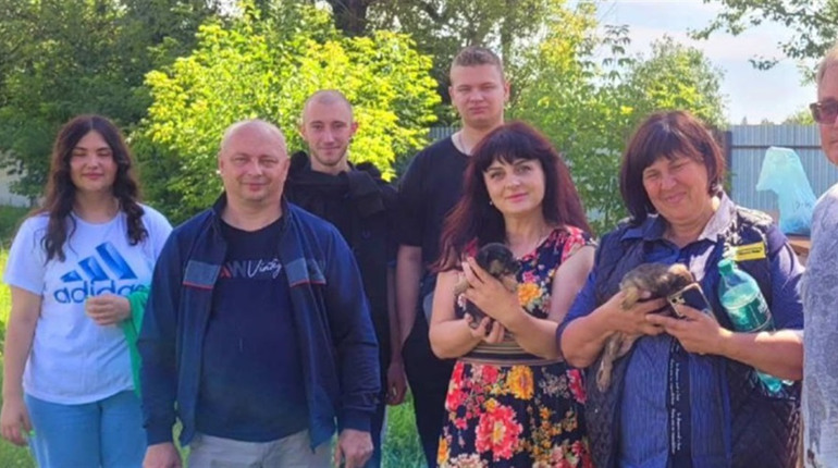 Зооволонтери просять допомогти прилаштувати тварин, вивезених із зони бойових дій