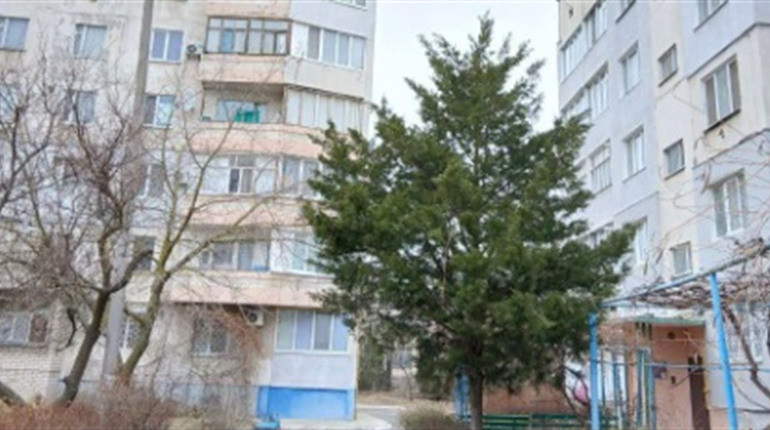 В Україні на початку тижня збережеться м'яка погода, але на Різдво очікуються морози