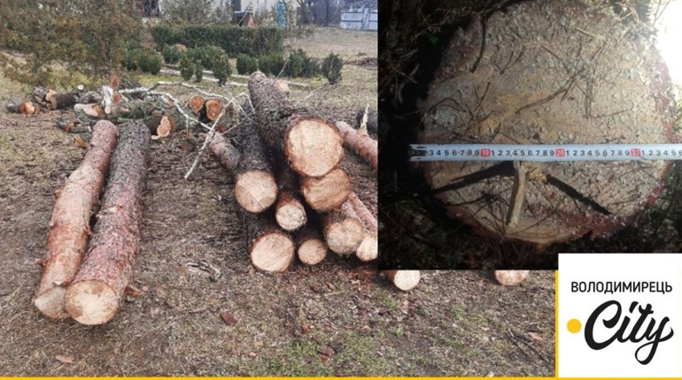 Прихопили знаряддя злочину та втекли на підводі – у Сопачеві троє невідомих незаконно рубали ліс