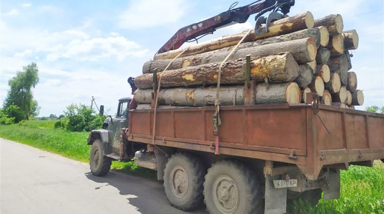 Рафалівського лісничого впіймали на хабарі