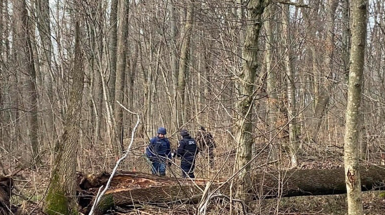 Триває розмінування Уманщини: знешкоджено 36 тисяч боєприпасів