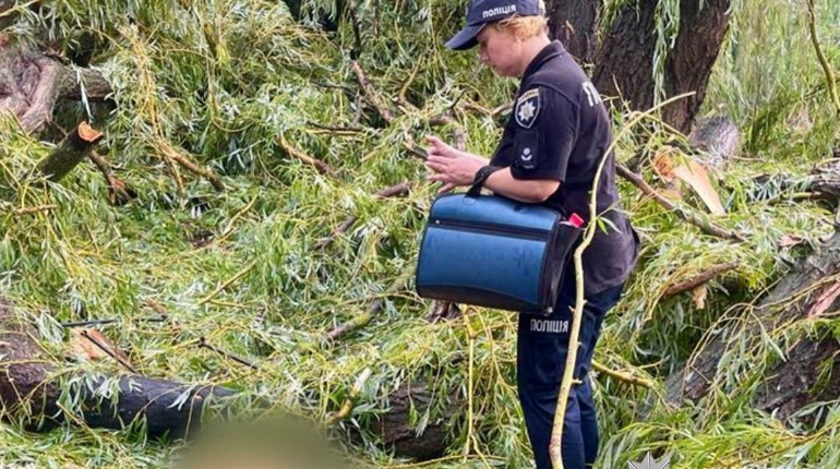 На Одещині дерево під час грози вбило 15-річного хлопця, ще четверо дітей у лікарні