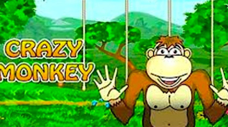 Игровой Автомат Crazy Monkey. Почему любителей Обезьянок не становится меньше