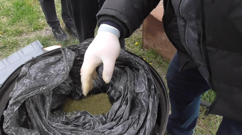 У 51-річного мешканця Сватівщини знайшли півтора кілограми марихуани. Йому загрожує ув’язнення