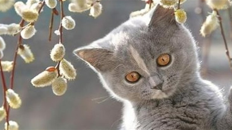 На вихідних буде тепліше, опади припиняться: прогноз погоди