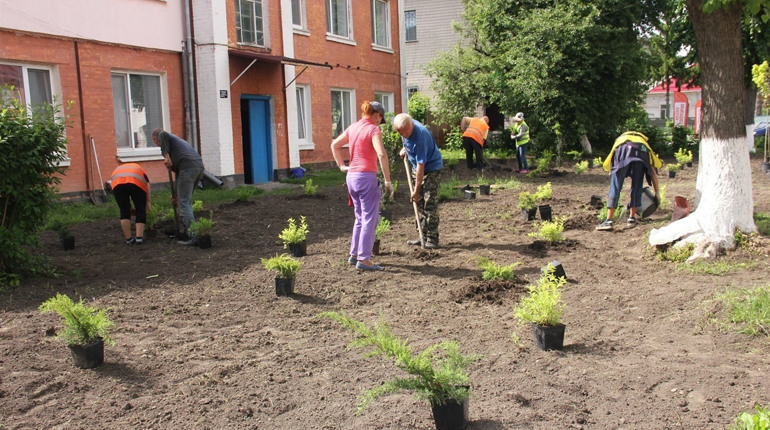 У Калинівці облаштували ще одну «зелену» локацію