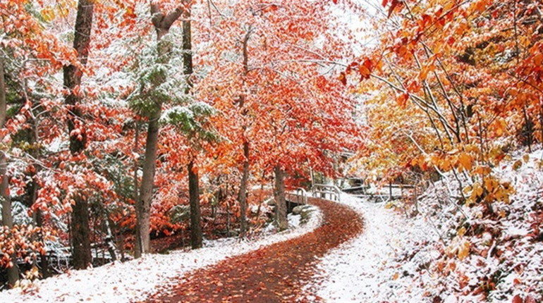 На порозі - грудень. Якою буде погода у перші дні зими