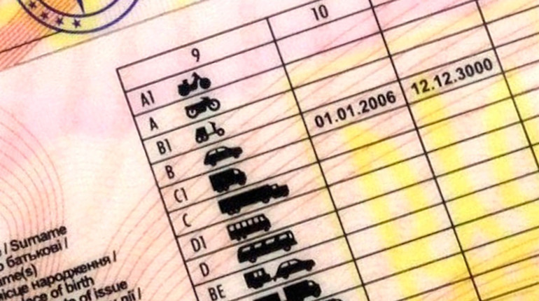 За кермо зі смартфоном. Що слід знати про електронні водійські посвідчення?