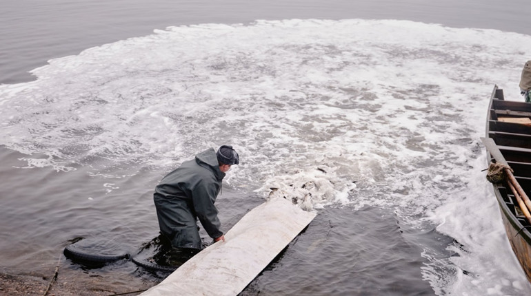 Дністровський лиман вперше зарибнили за державні кошти від аукціонів: у воду випустили майже 29 тонн