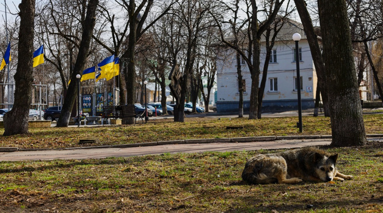 Місто, яким воно є. Глухів наприкінці березня