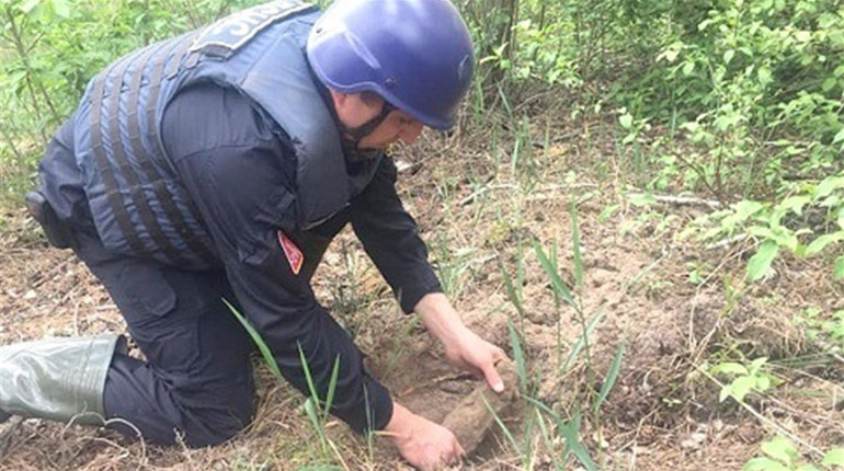 Небезпечна знахідка: 57 боєприпасів виявили біля села Уляники Ржищівської ОТГ