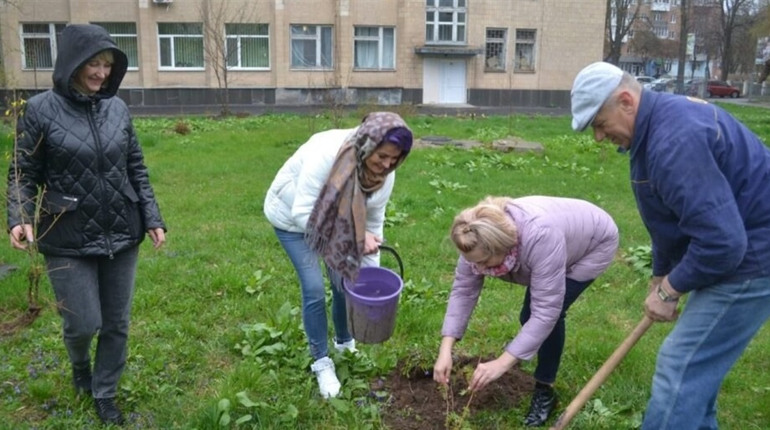 Де у Шосткинській громаді саджали нові дерева?